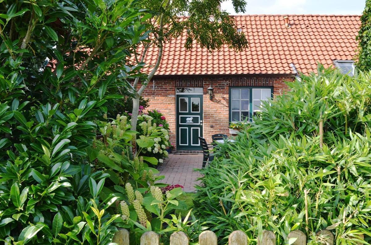 Haus Hoelle - Hohenkirchen Hohenkirchen  Exterior foto